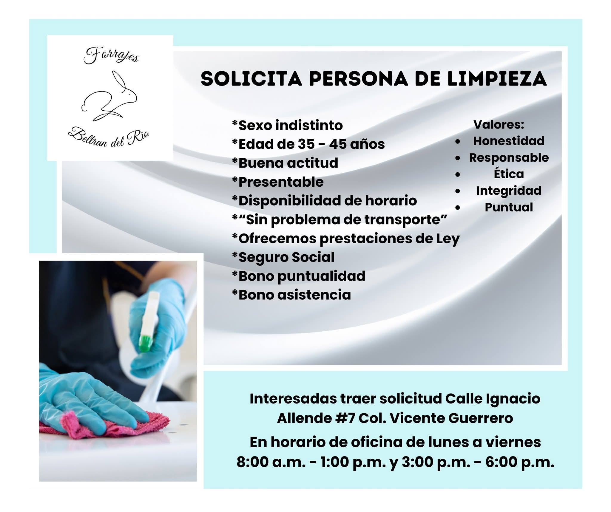 Personal de limpieza