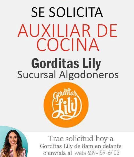 Auxiliar de cocina