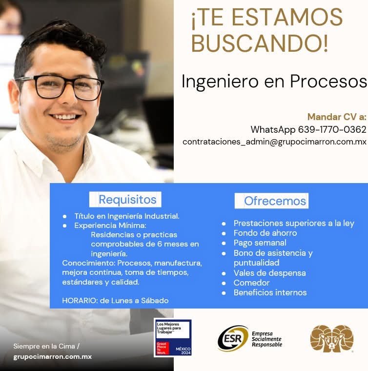 Ingeniero en procesos