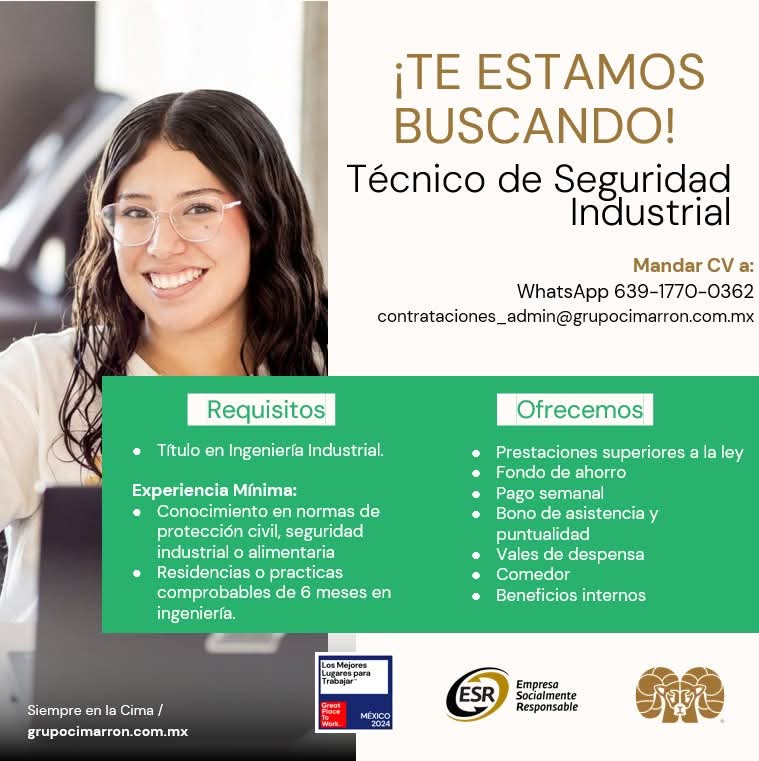 Técnico de seguridad industrial