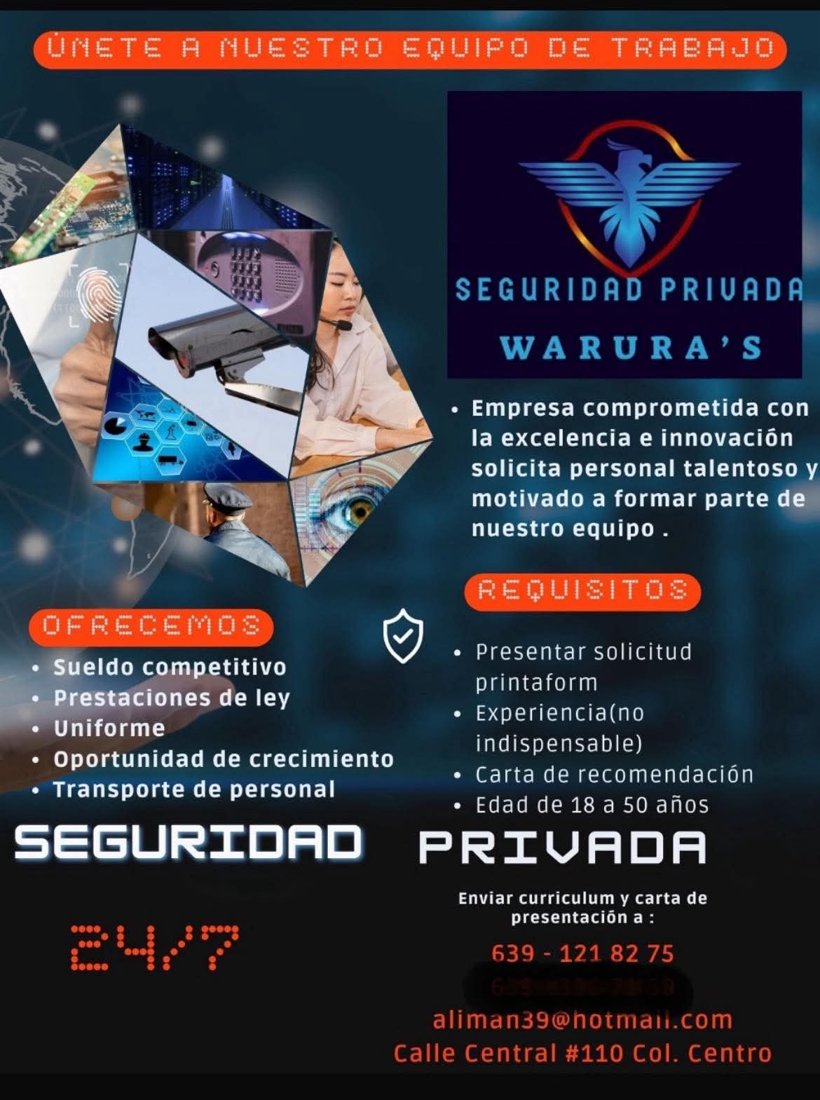 Seguridad privada