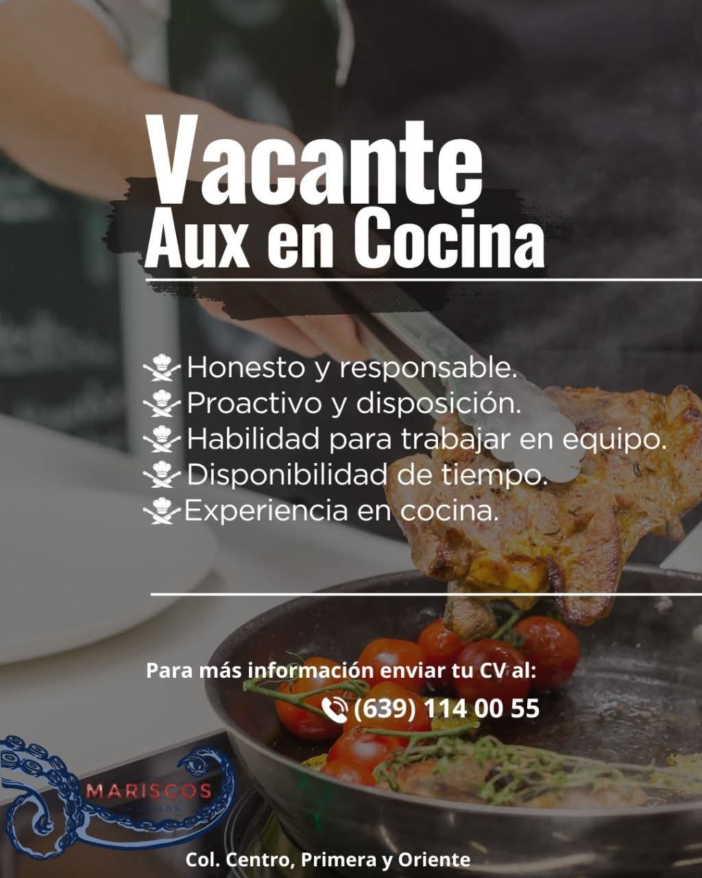 Auxiliar de cocina