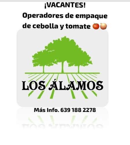 OPERADORES