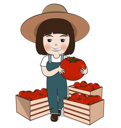 seleccionador de tomate