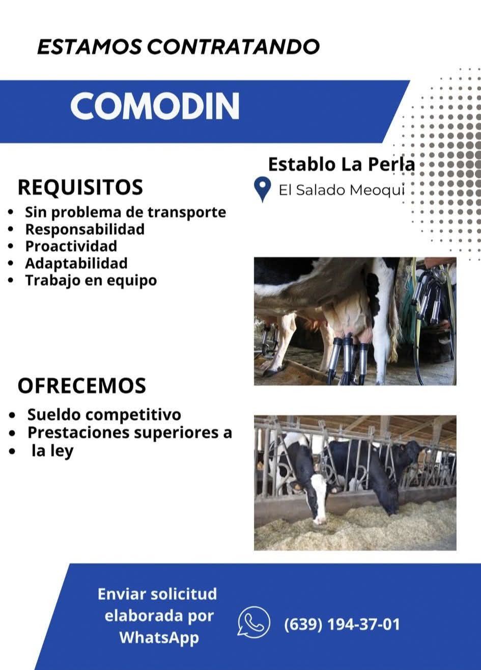 Comodín