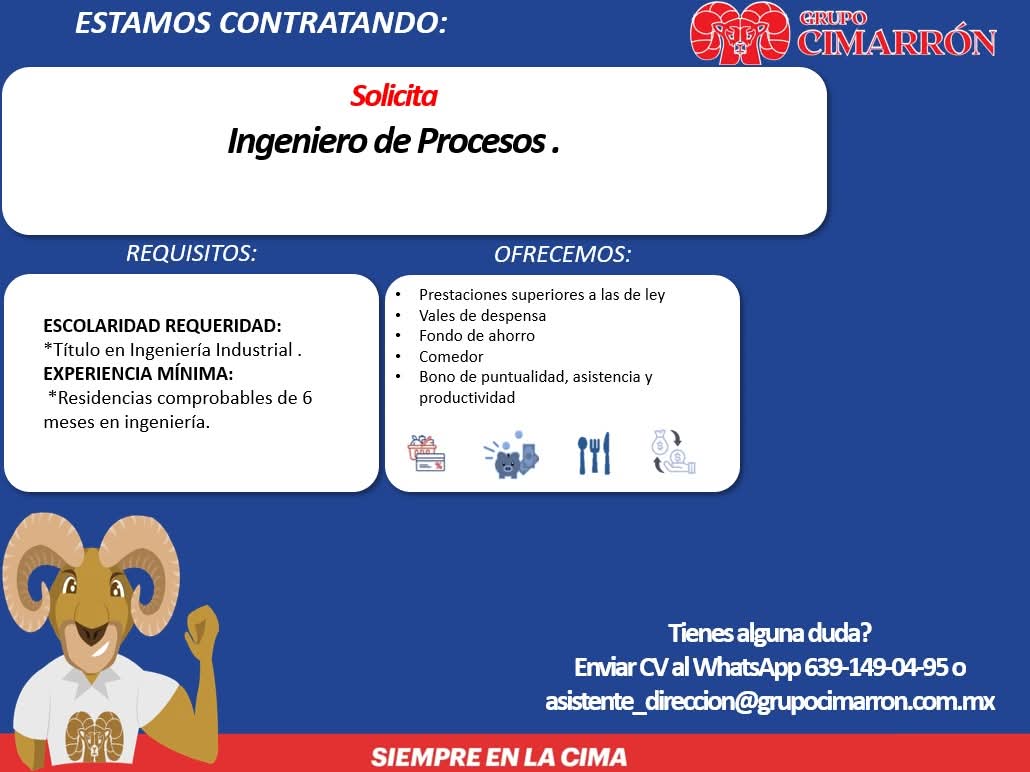 Ingeniero de procesos