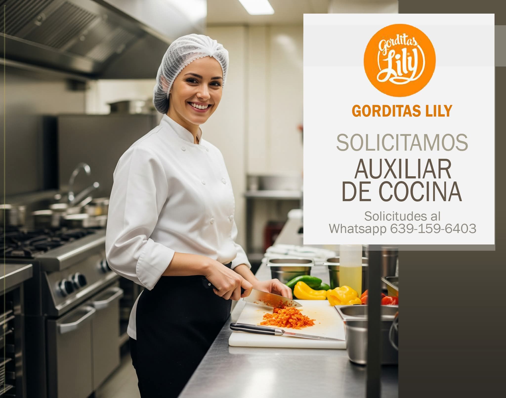 Aux de cocina