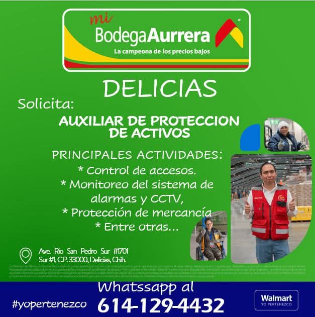 Auxiliar de protección de activos