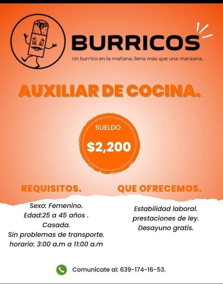 Auxiliar de cocina