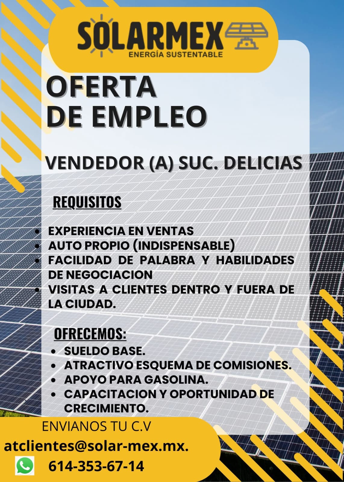 Vendedor