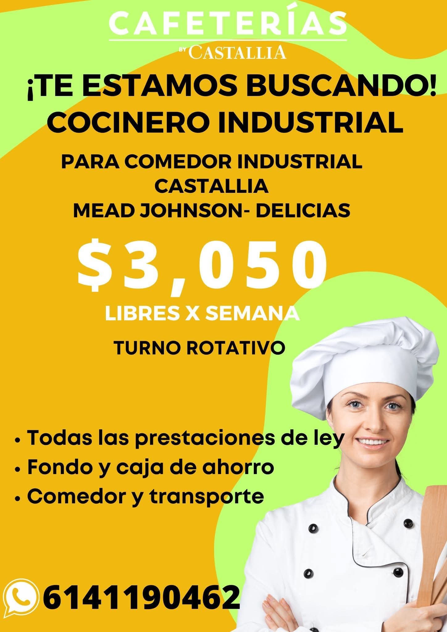 Cocinero industrial