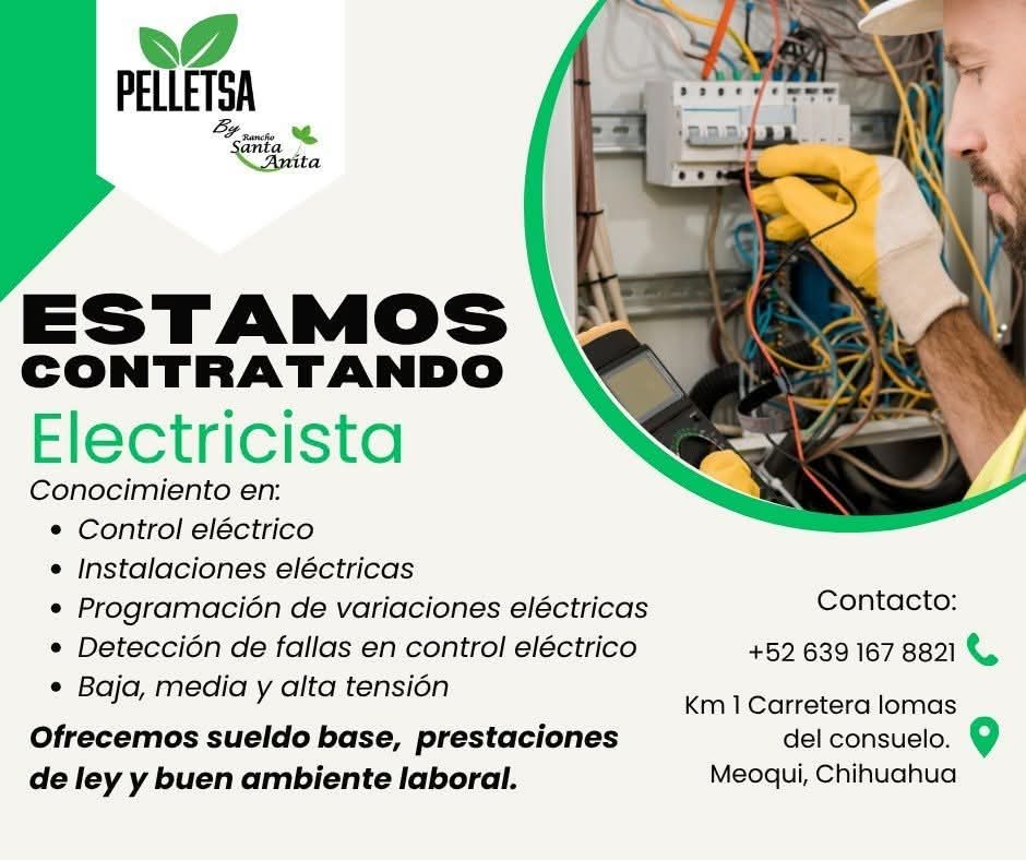 ELECTRISISTA