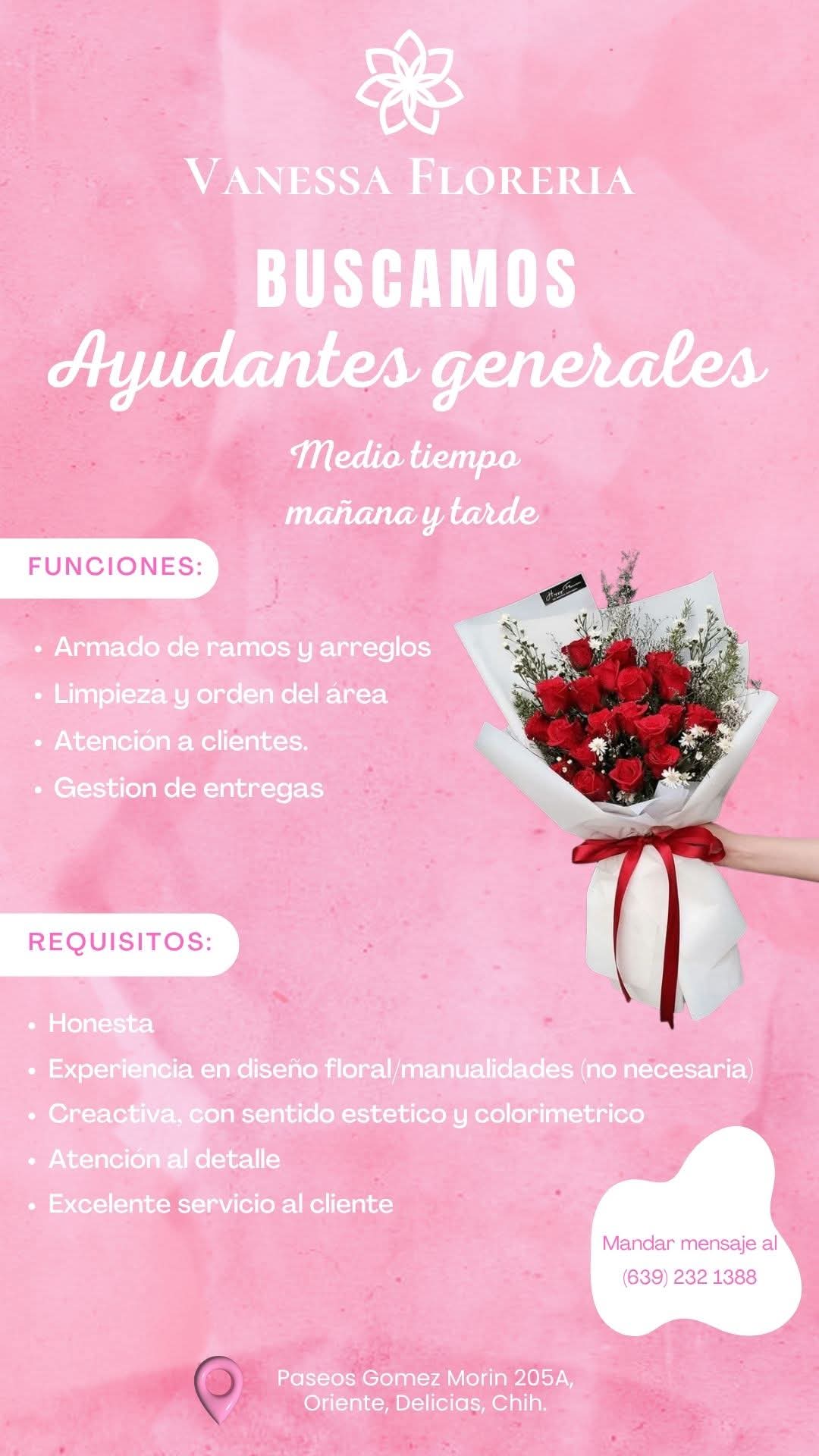 Ayudante general