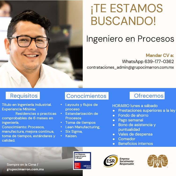 Ingeniero en procesos