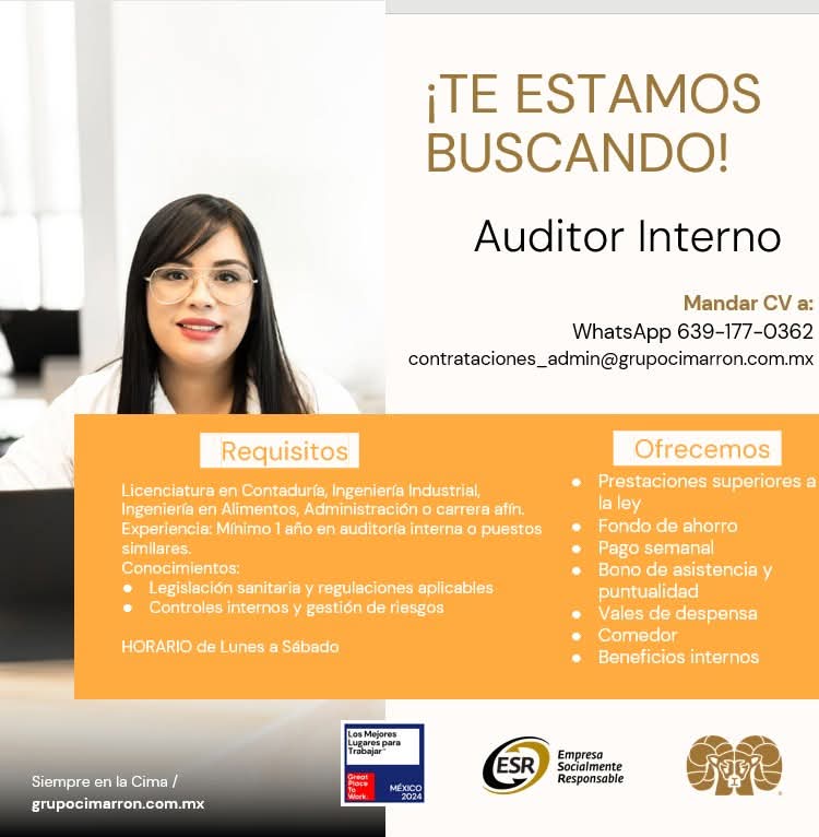 Auditor interno