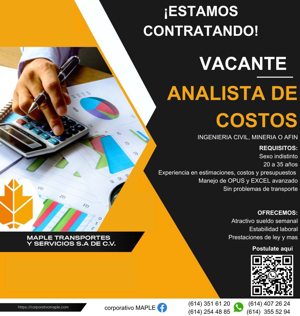 Analistas de costos