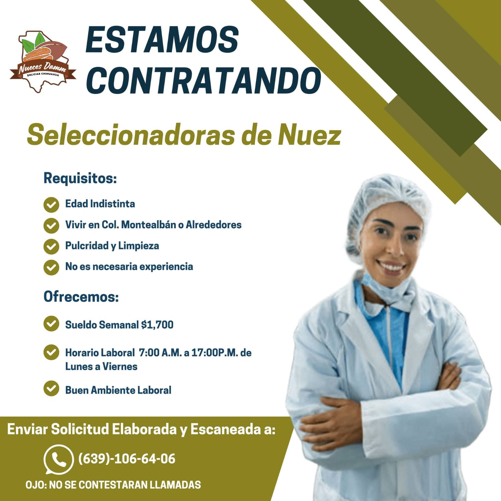 Seleccionadoras de nuez