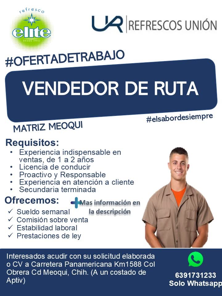 Vendedor de ruta