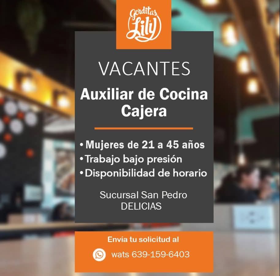 Auxiliar de cocina y cajera
