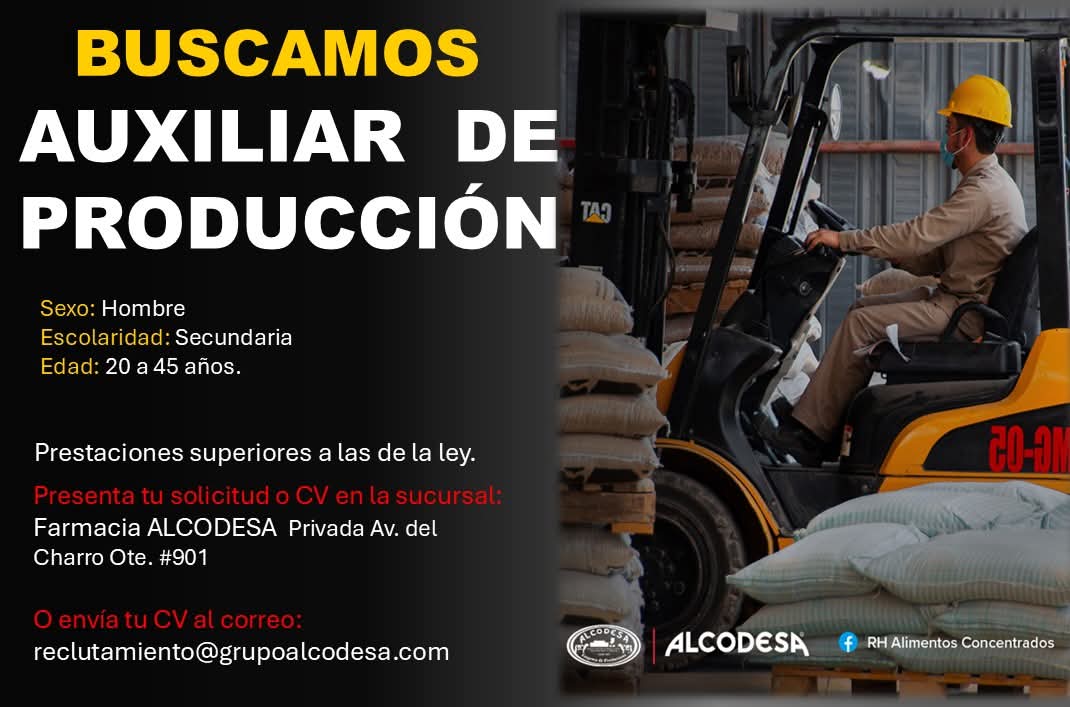 Auxiliar de producción