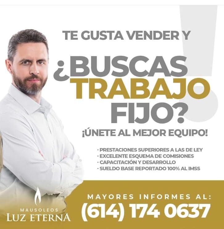 Vendedor