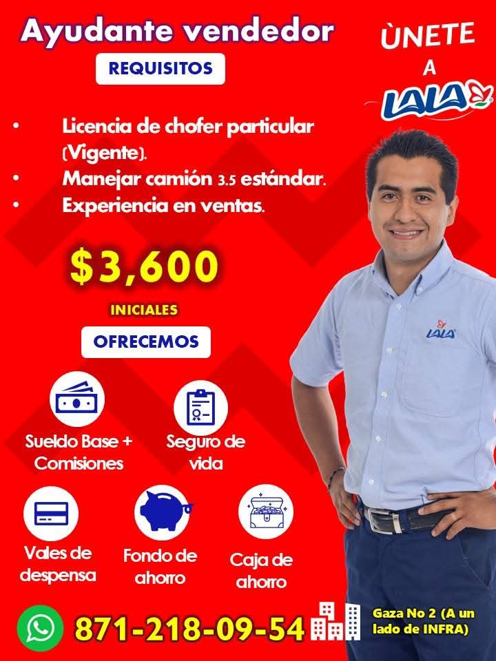 Ayudante vendedor