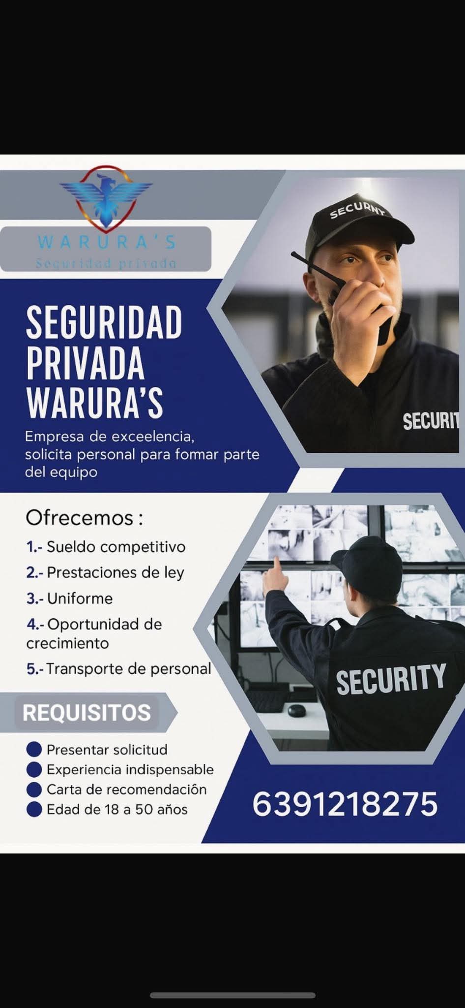 Seguridad privada