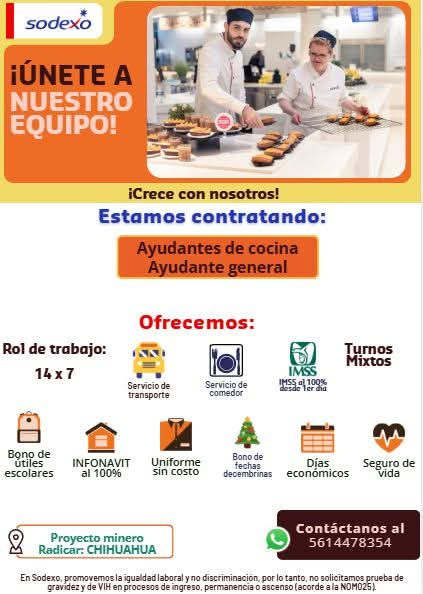 Ayudante de cocina