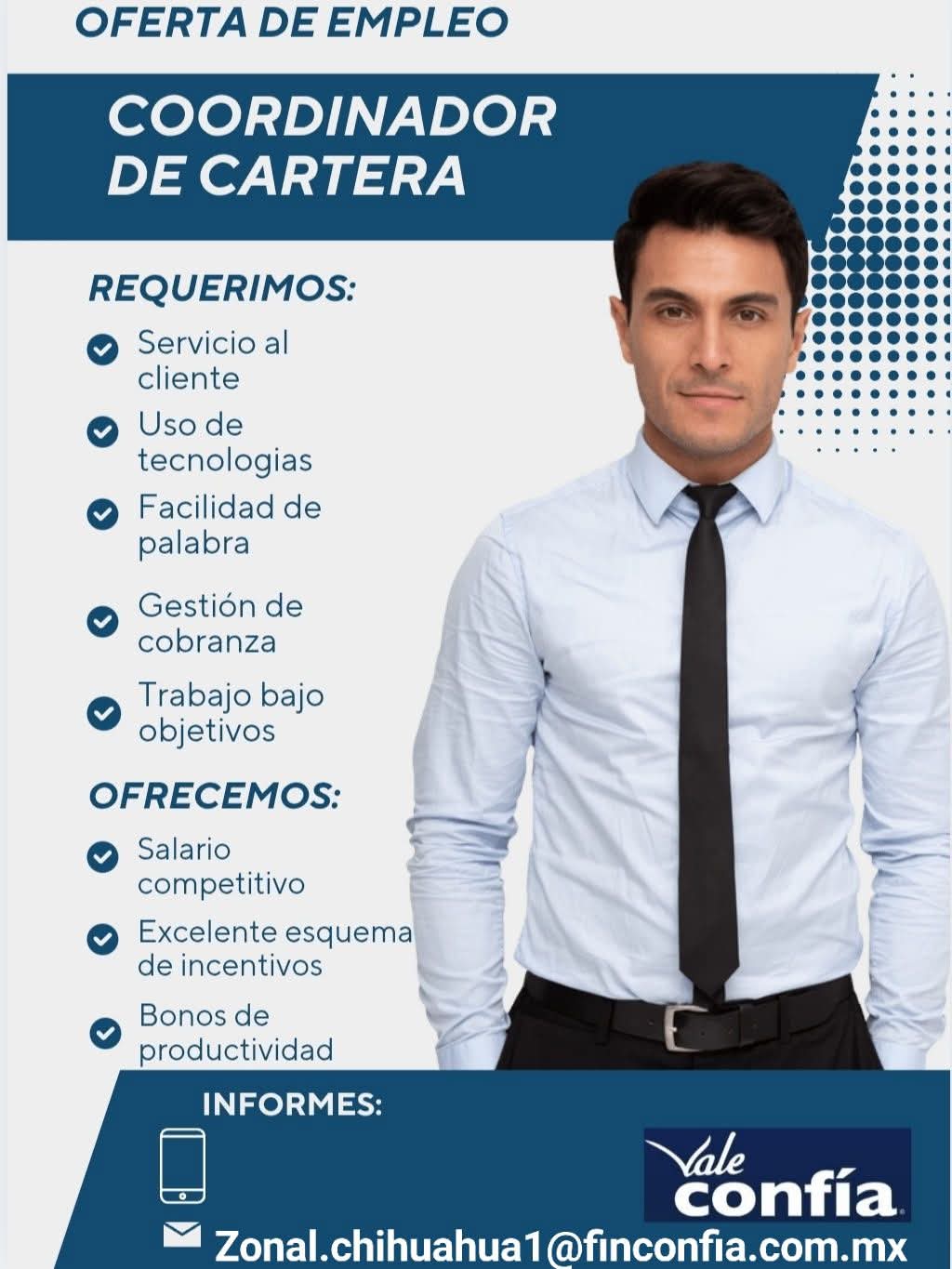 Cordinador de cartera