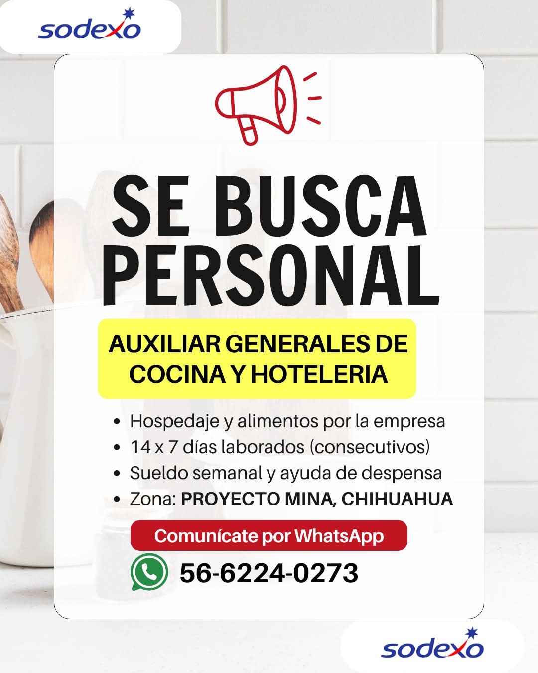 Auxiliar general de cocina