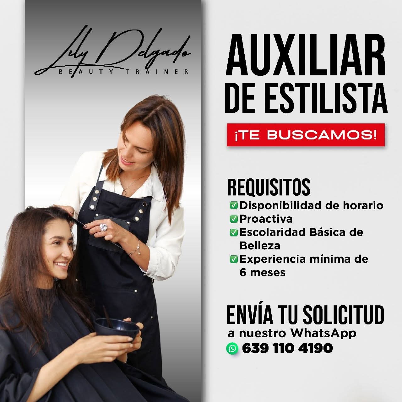 Auxiliar de estilista