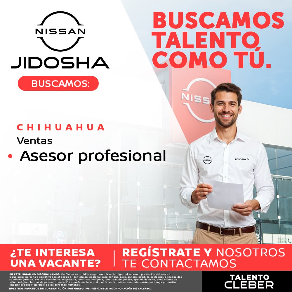 Asesor profesional
