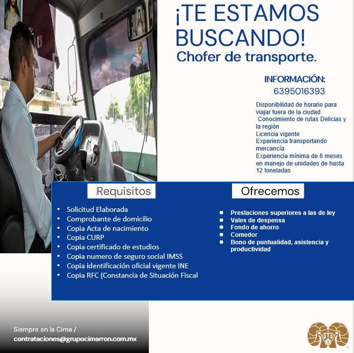 Chofer de transporte