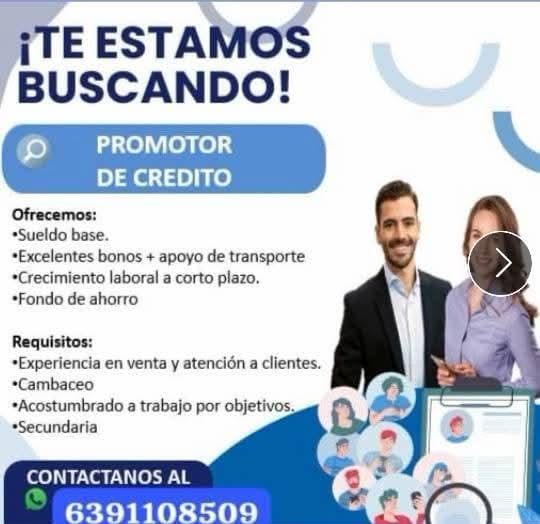 Promotor de credito