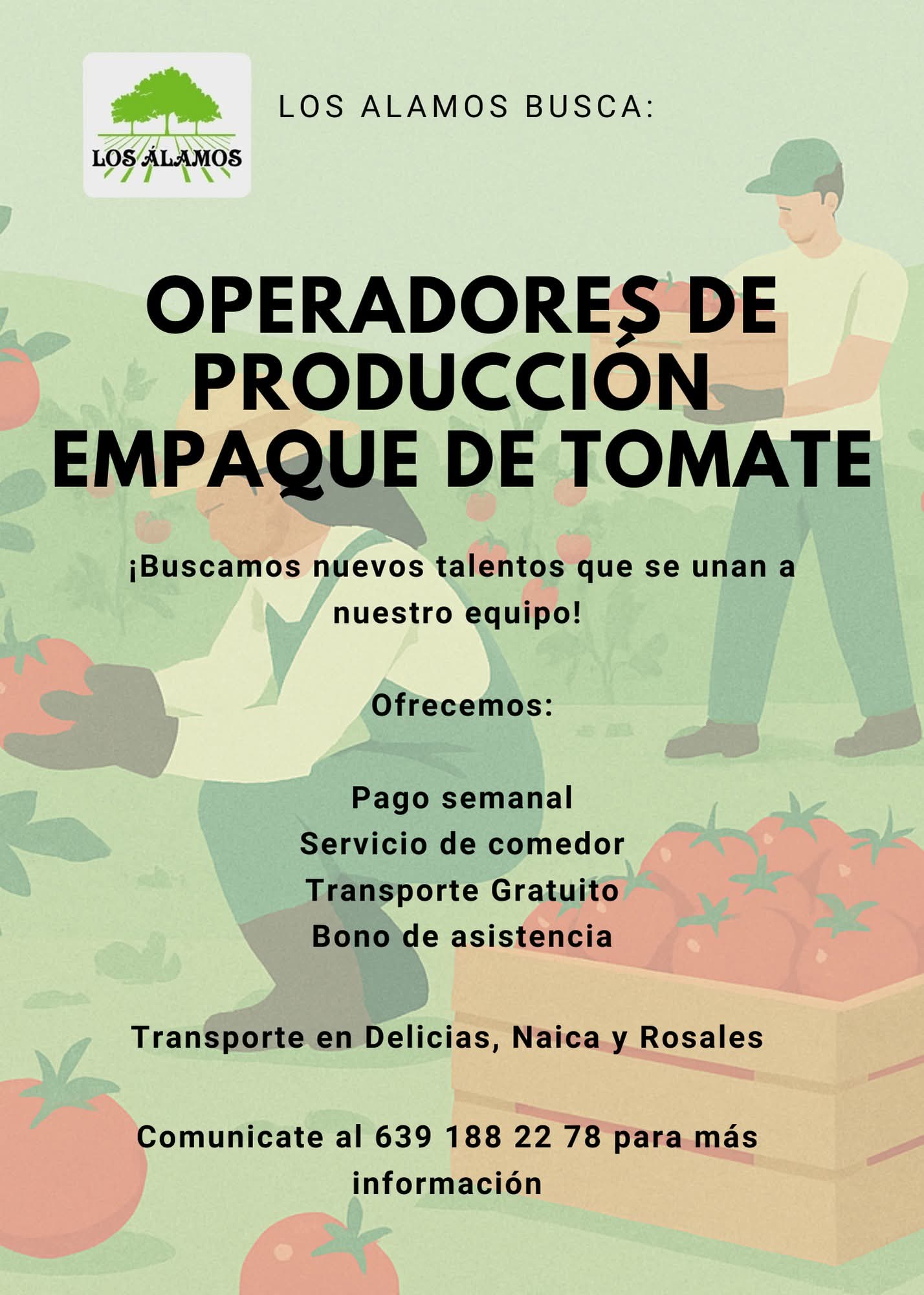 Personal para empaque