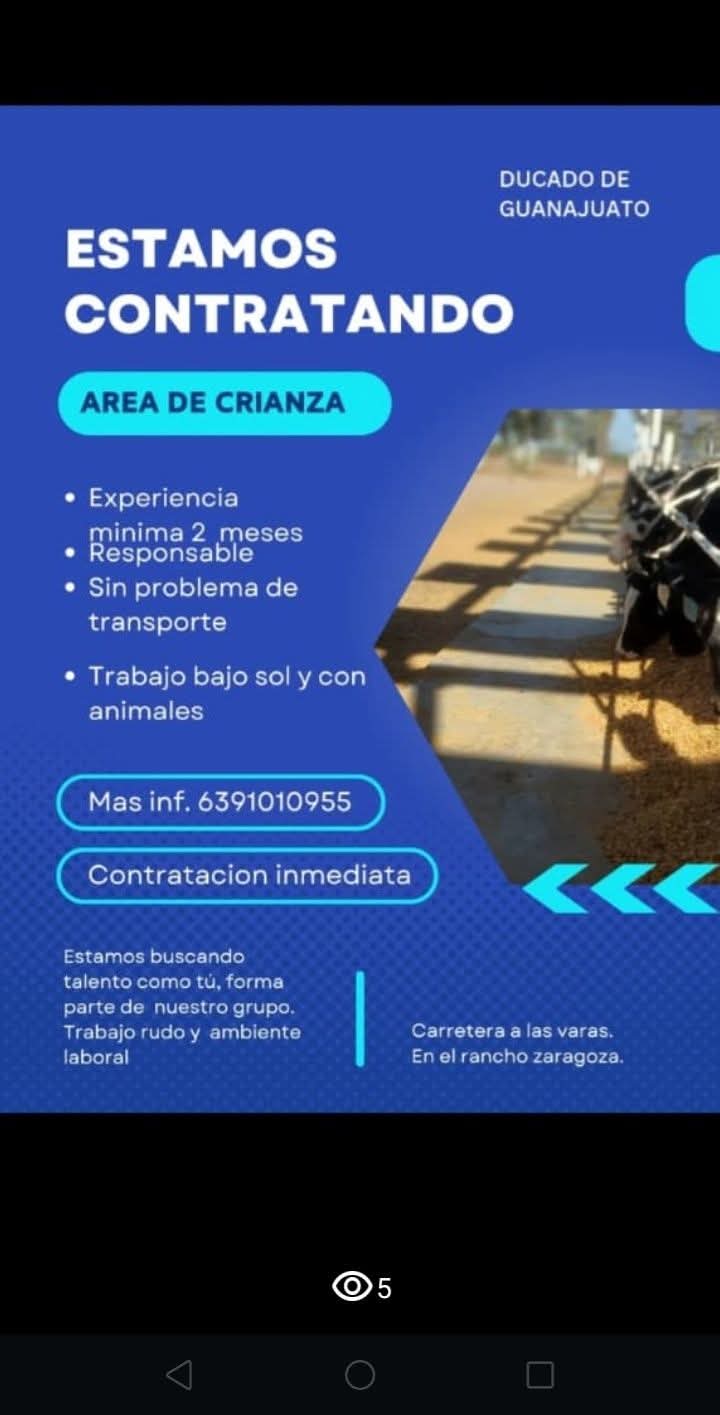 Área de crianza