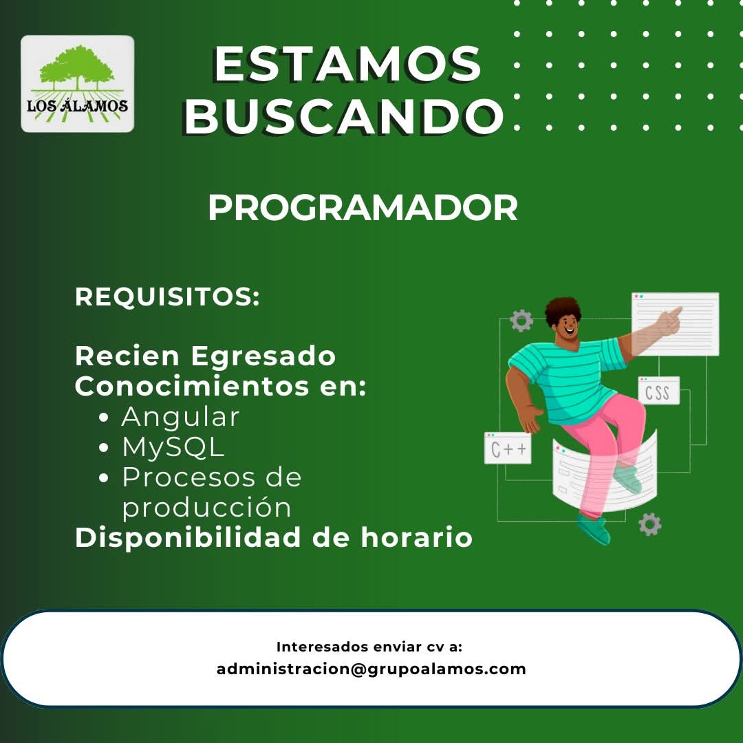 Programador