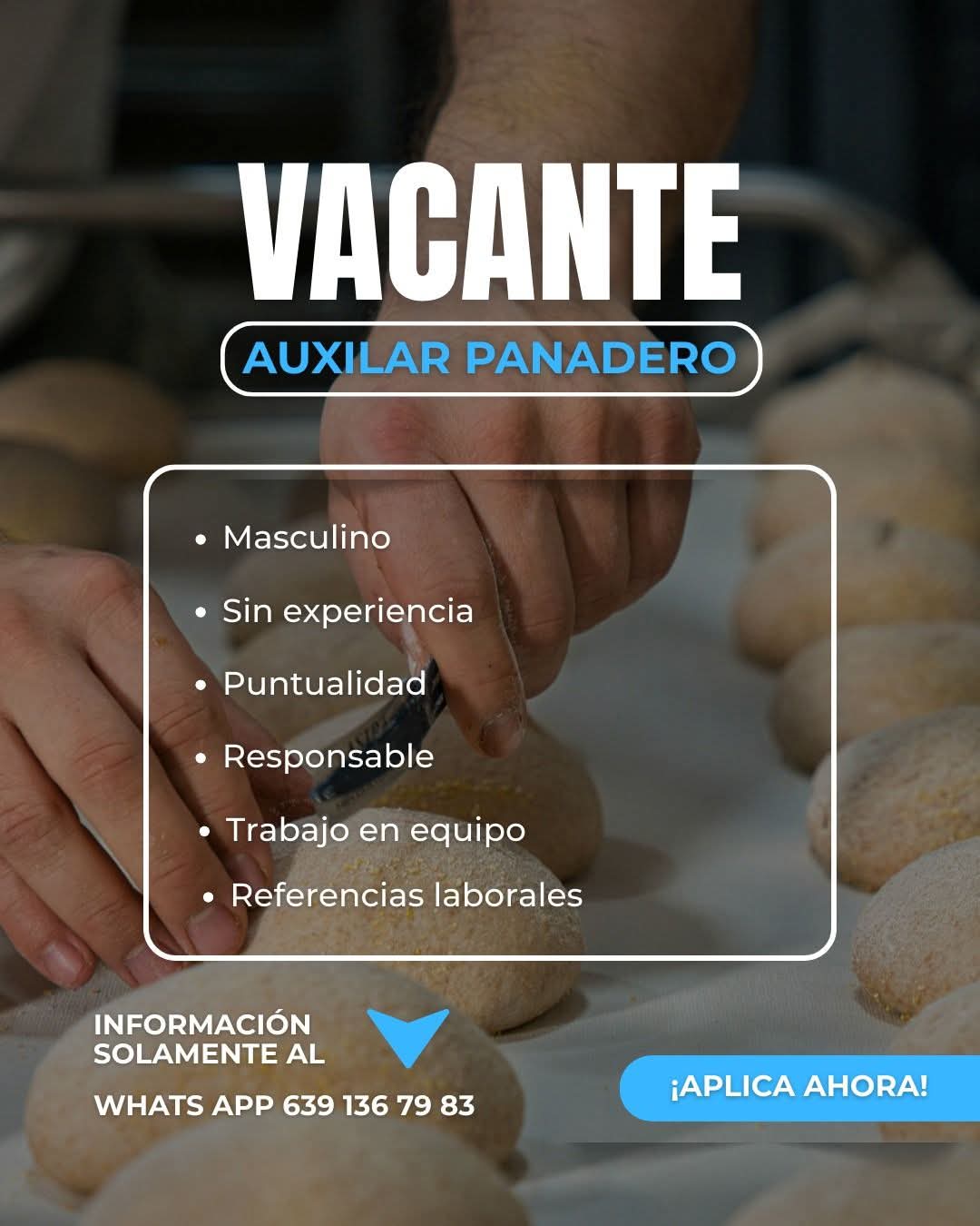 Auxiliar panadero