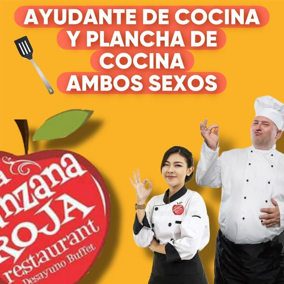 Ayudante de cocina