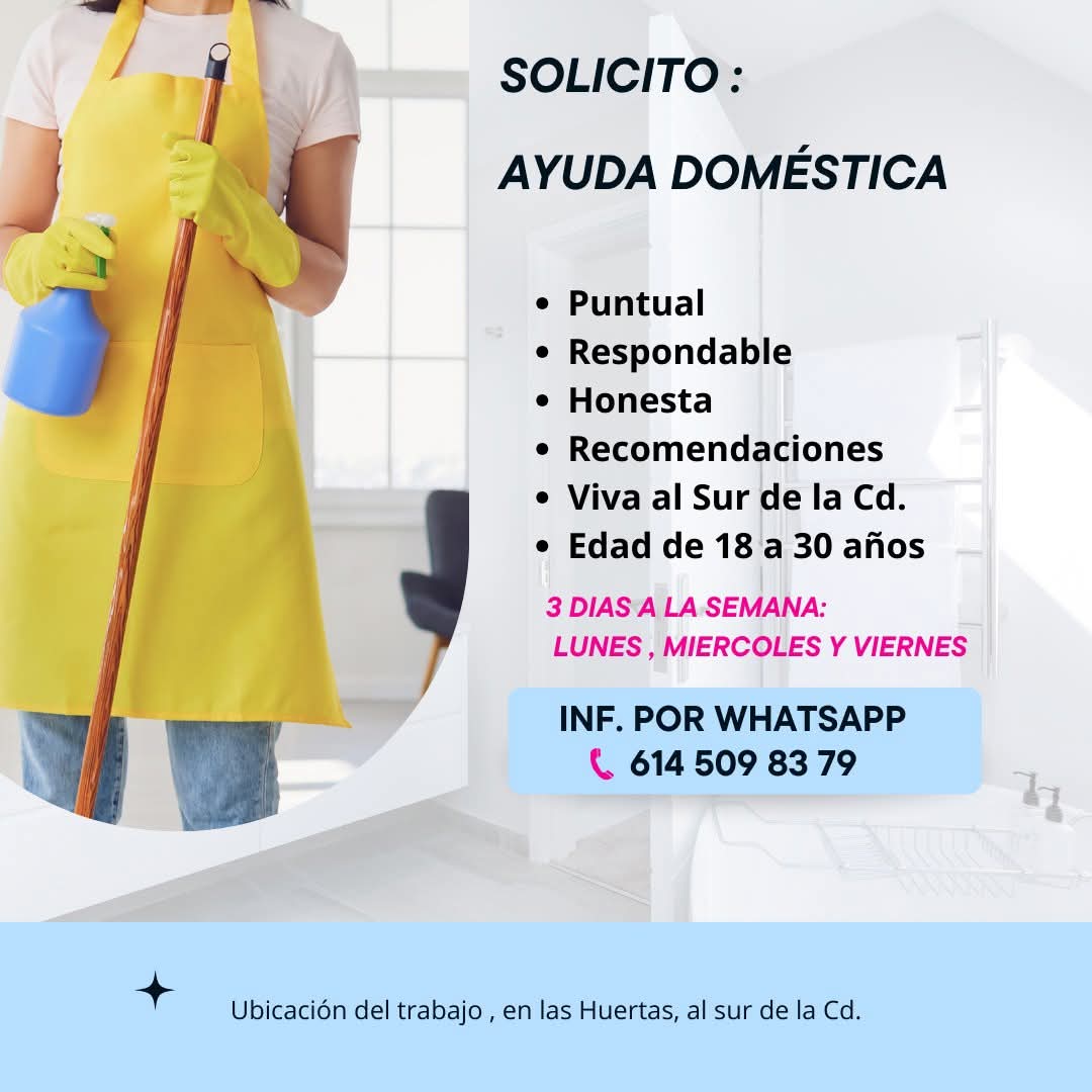 Ayuda domestica