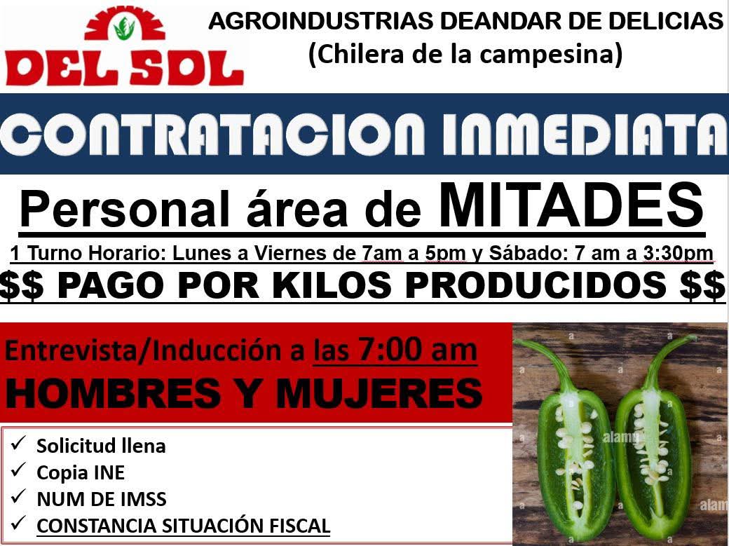 Personal área de mitades
