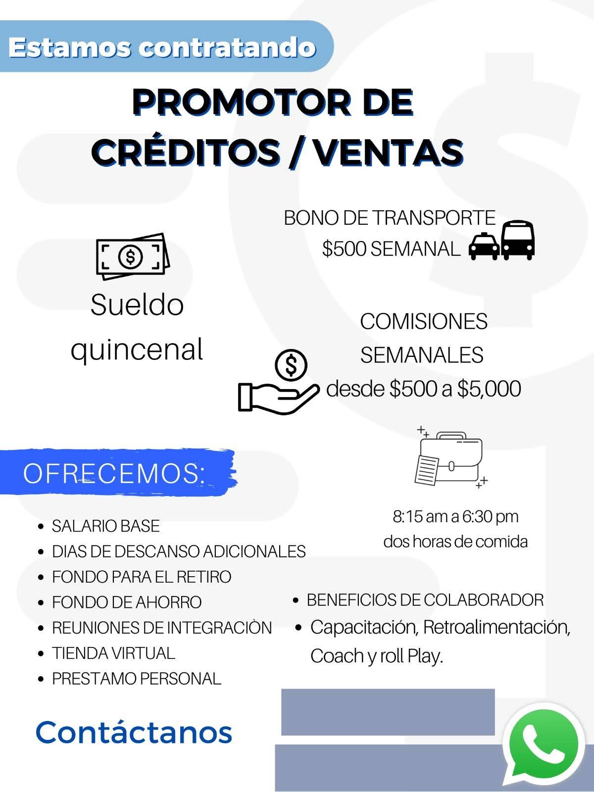 Promotor de ventas