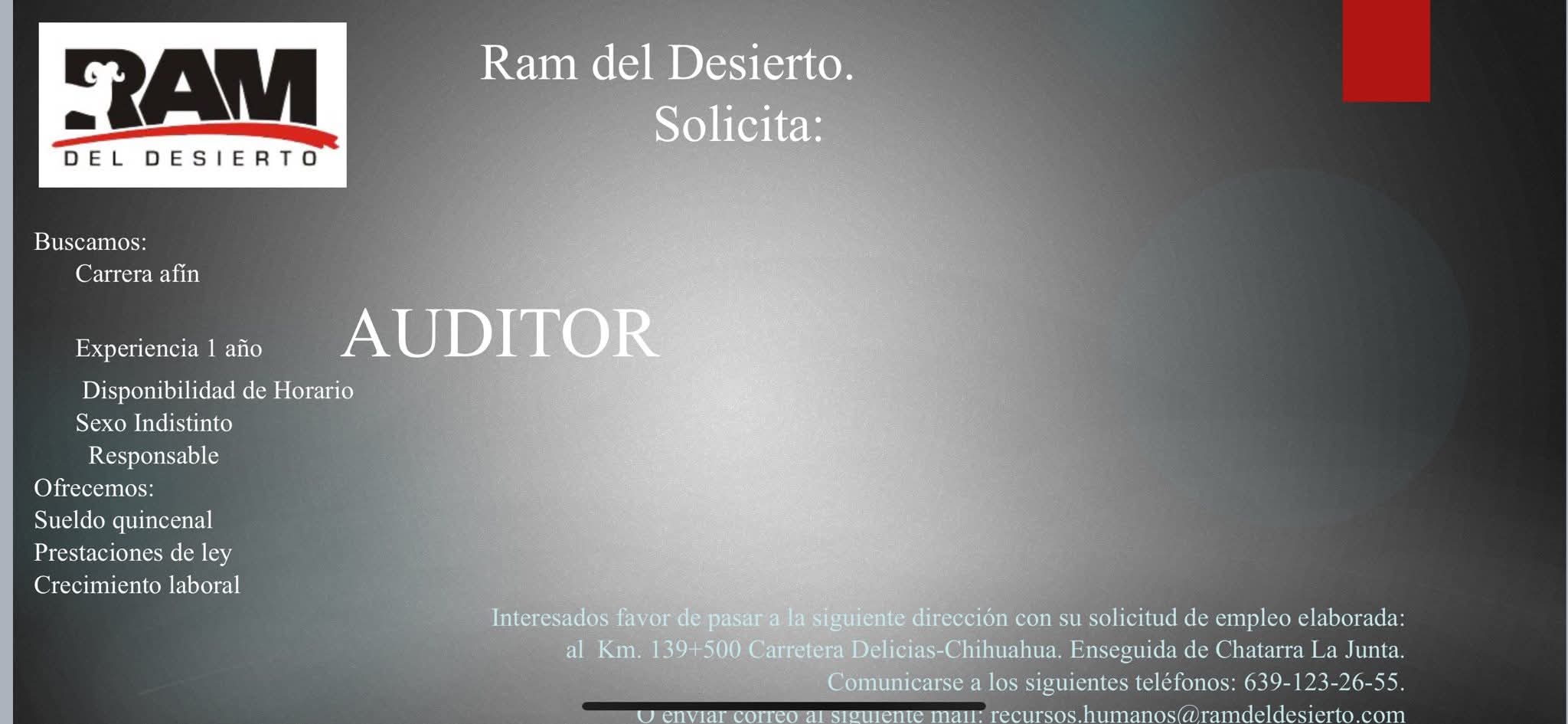 Auditor