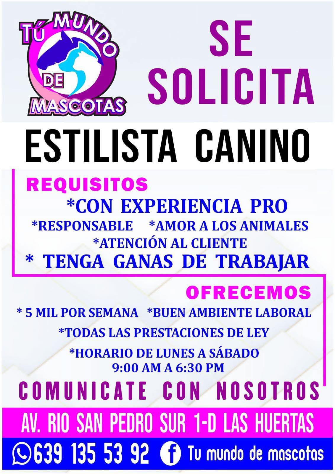 Estilista canino