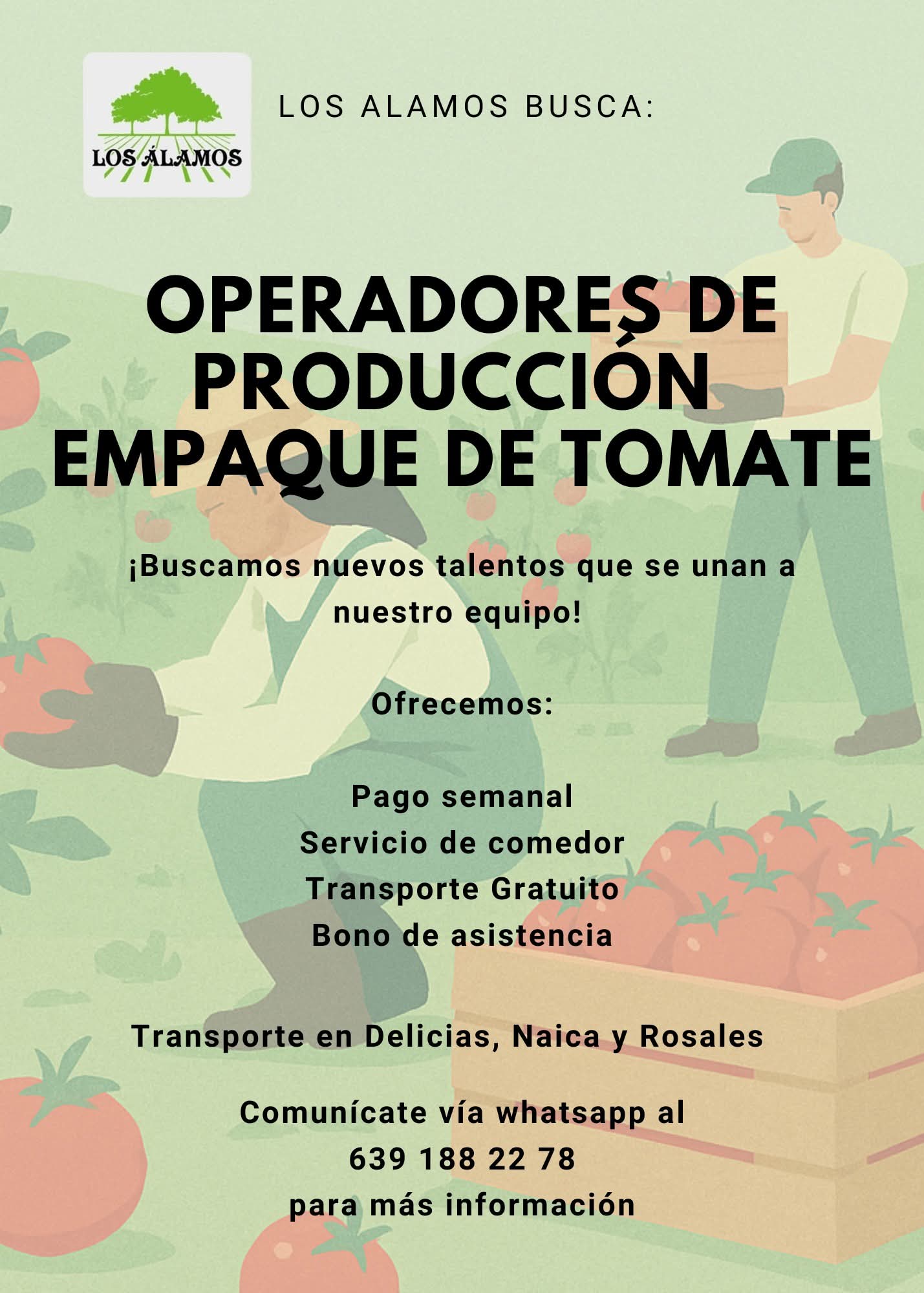 Operadores de producción