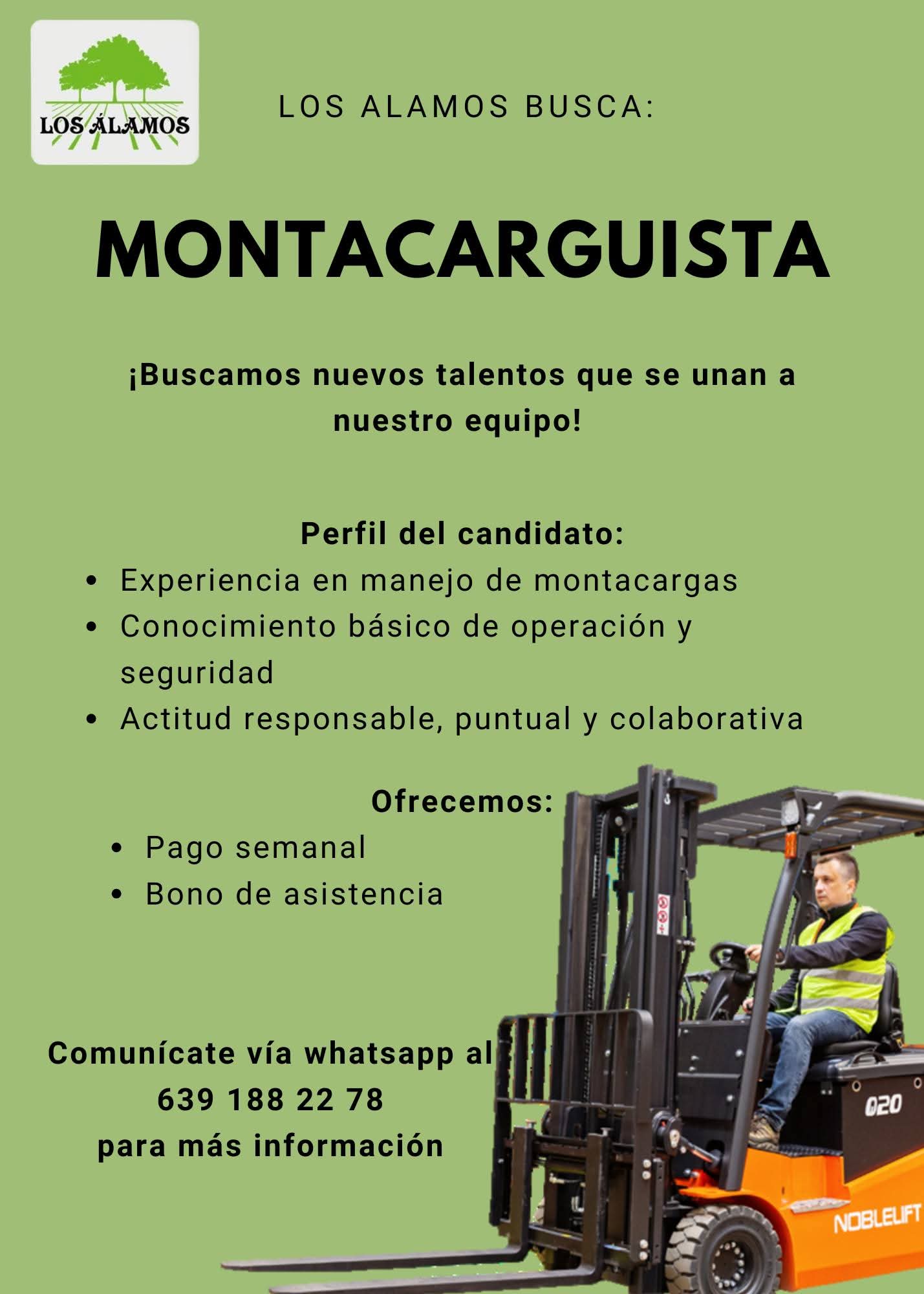 Montacarguista