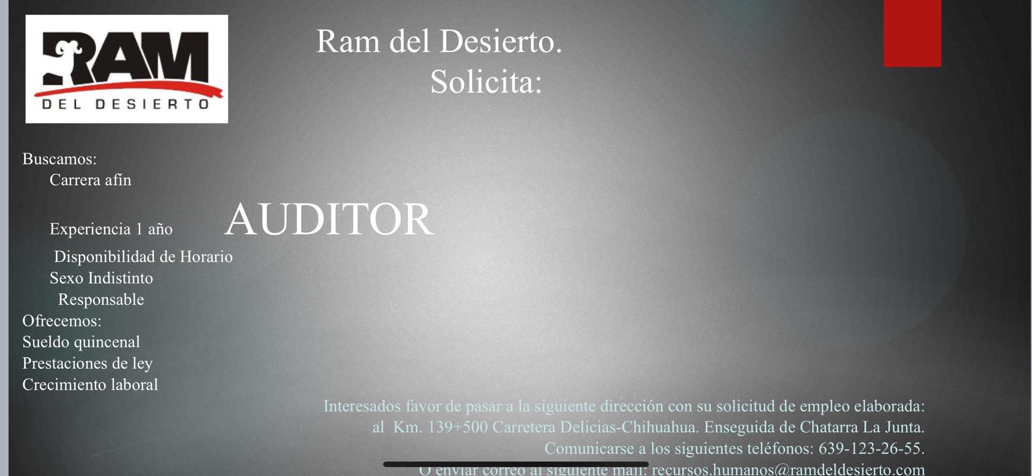 Auditor
