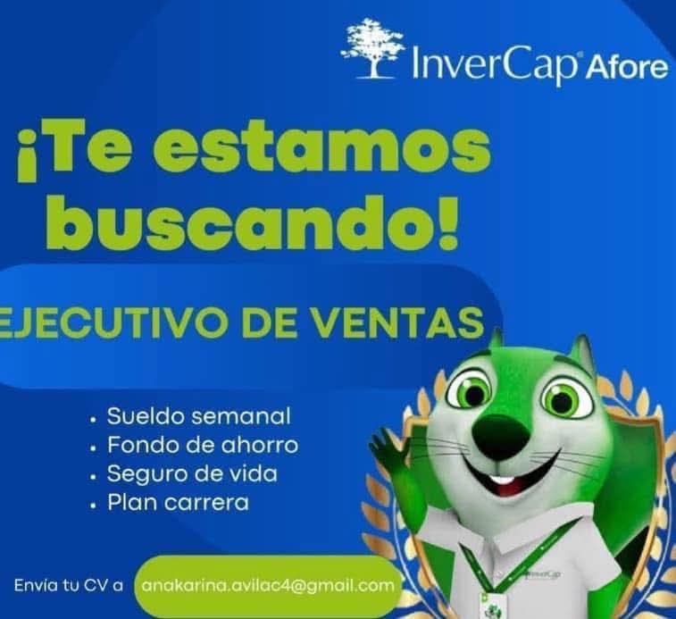 Ejecutivo de ventas