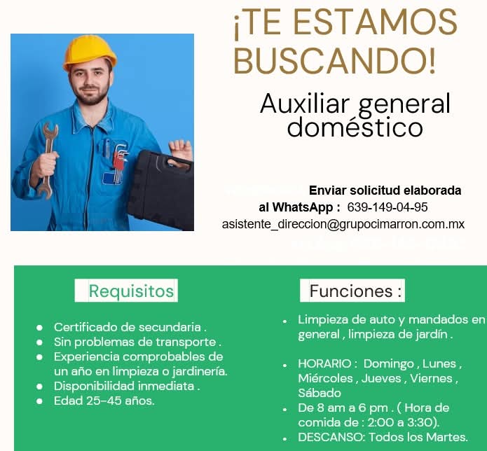 Auxiliar general doméstico