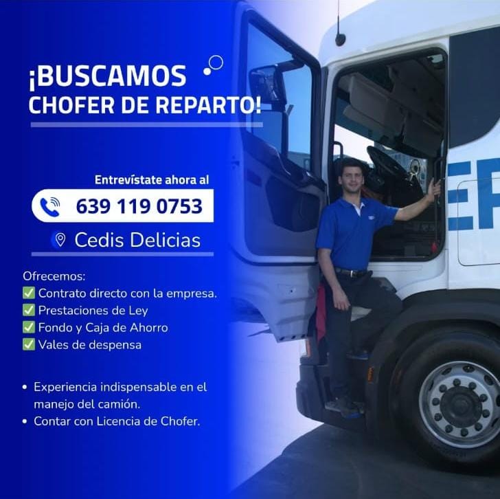 Chofer de reparto